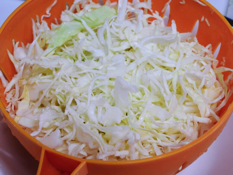 Repollo